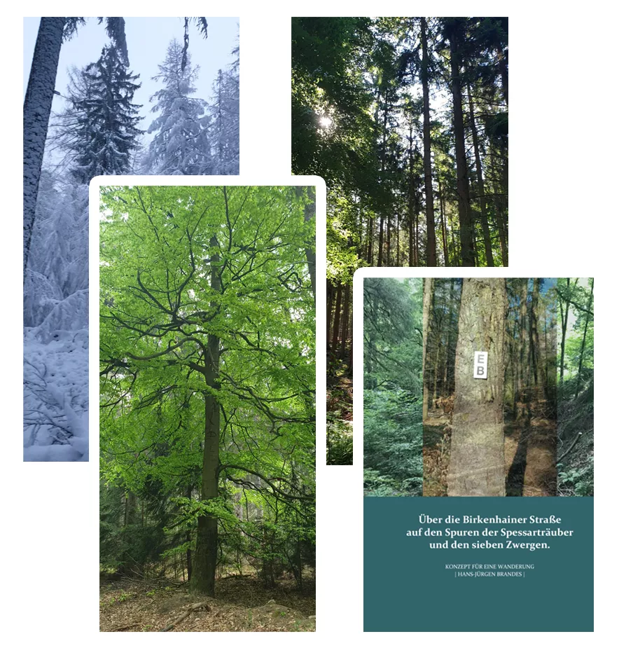 Naturpark Spessart Naturpark Spessart