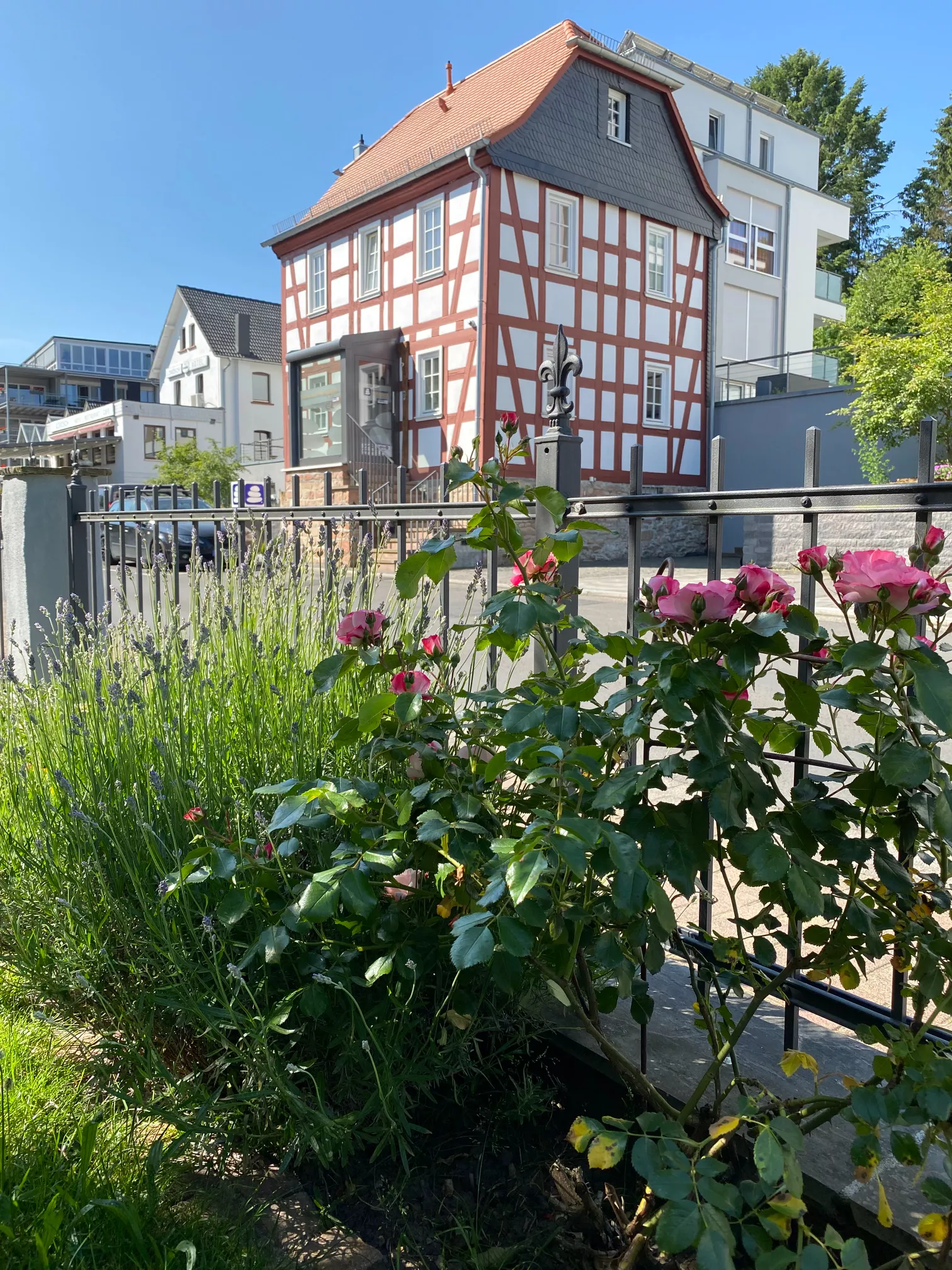 Ausblick aus dem Vorgarten der Villa Iris Ausblick aus dem Vorgarten der Villa Iris